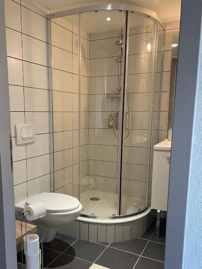 Studio Sous Les Toits Annecy Centre-Ville Екстер'єр фото