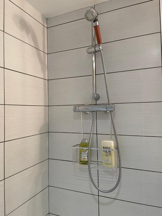 Studio Sous Les Toits Annecy Centre-Ville Екстер'єр фото